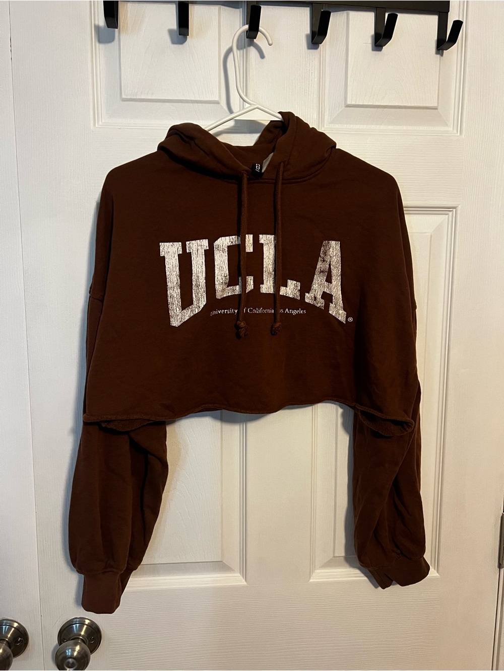 H&M UCLA Cropped Hoodie in Chocolate Brown